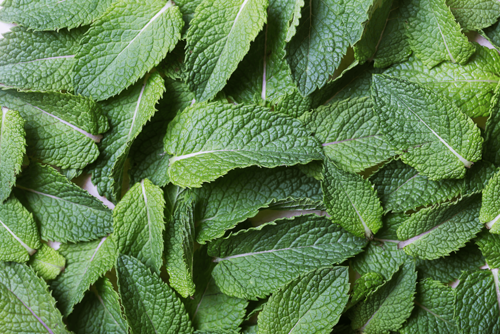 CBD: Not Just Good On Its Own