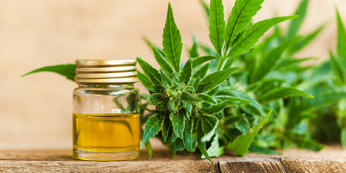 Terpenes: An Essential Component of Hemp Oil